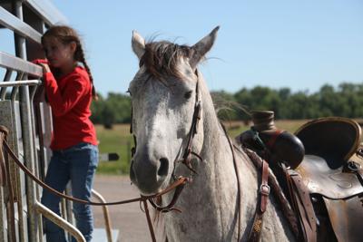 121422-lex-news-ponyexpress1.JPG