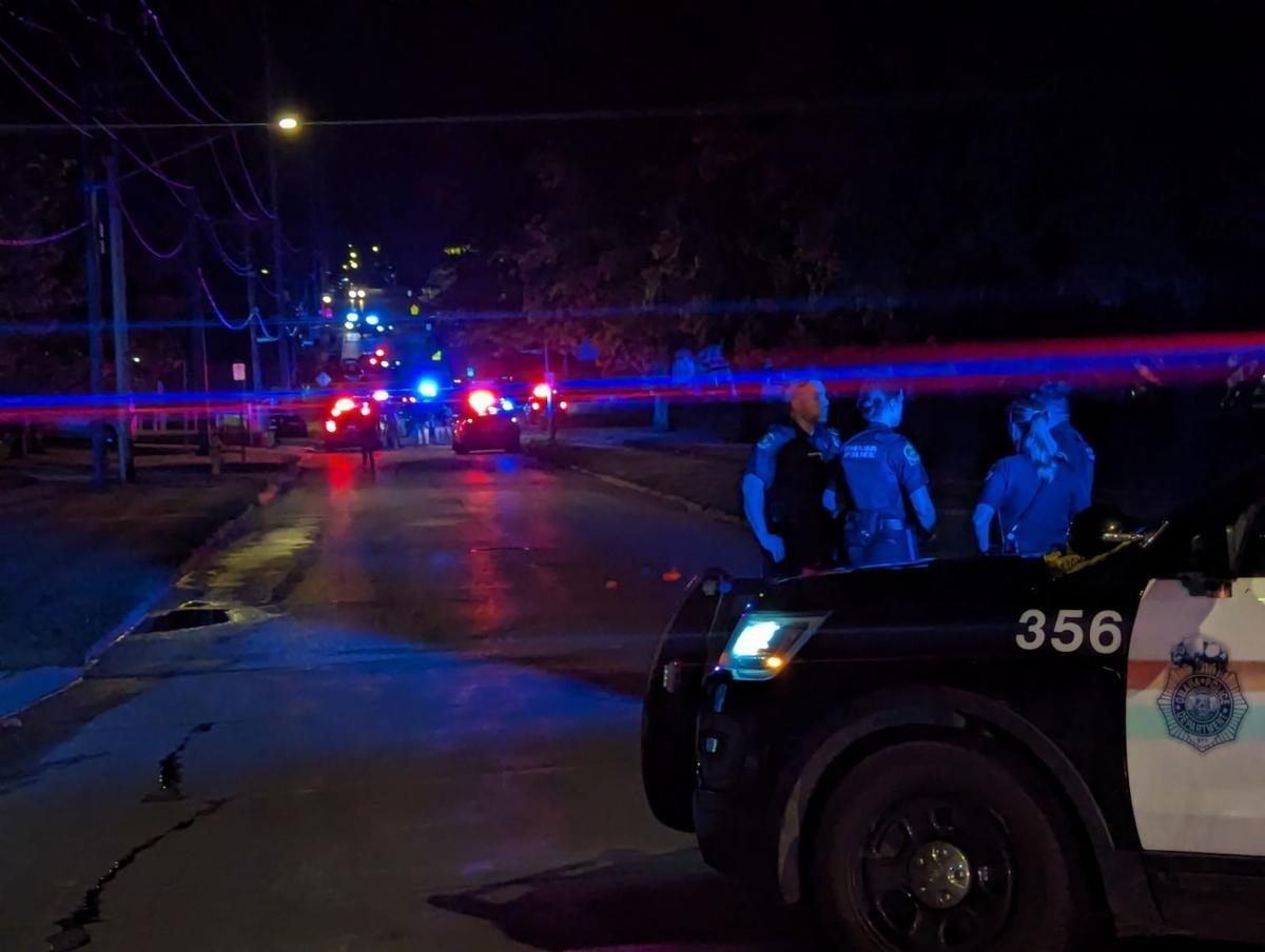 police presence 2