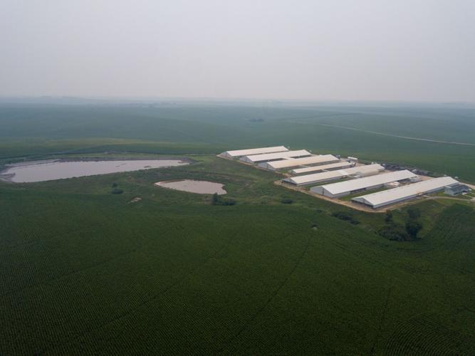 PC West, a Pillen Family Farms’ livestock operation, COPYRIGHT RESTRICTED