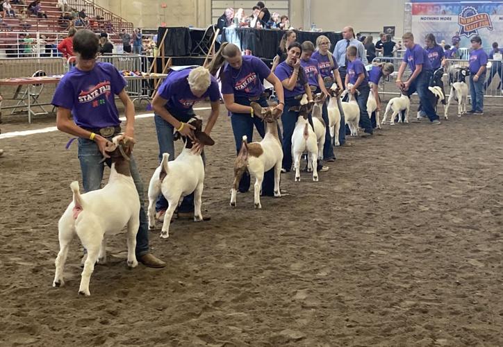 State Fair celebrates 4-Hers from across Nebraska