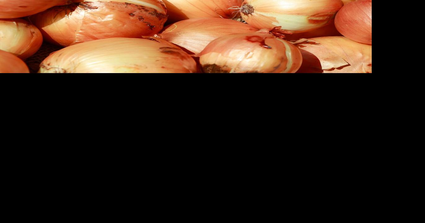 Liberia Loses Millions on Onion Imports Despite Local Potential