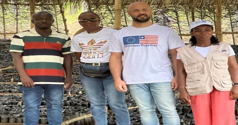 Liberia Eyes Global Market with Liberica Coffee Push