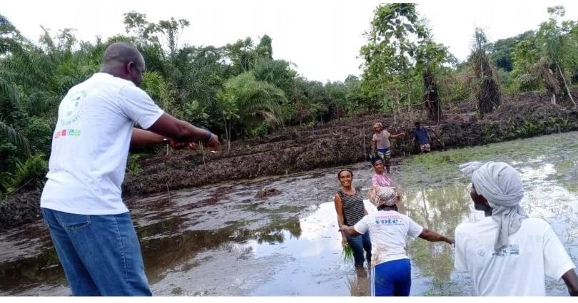 EPA, UNDP to Launch Climate Resilience and Livelihood Adaptation Project | News