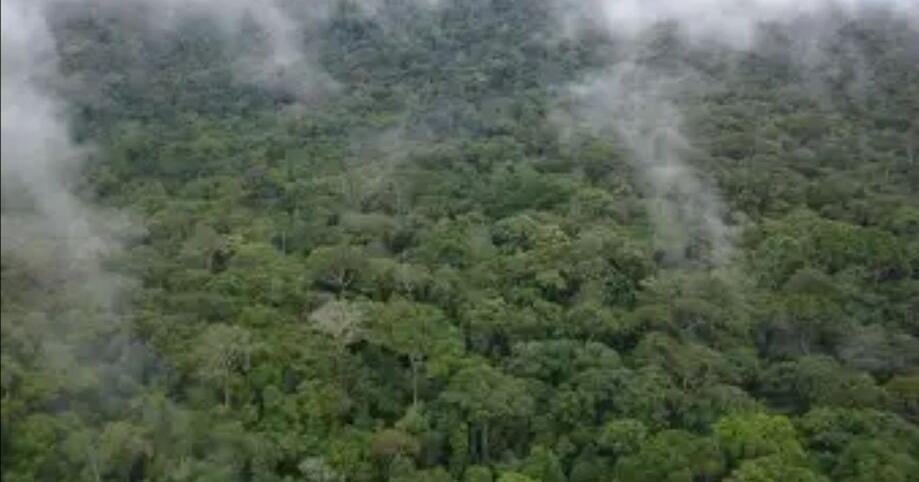 SCNL Pushes Back Against FDA Claims