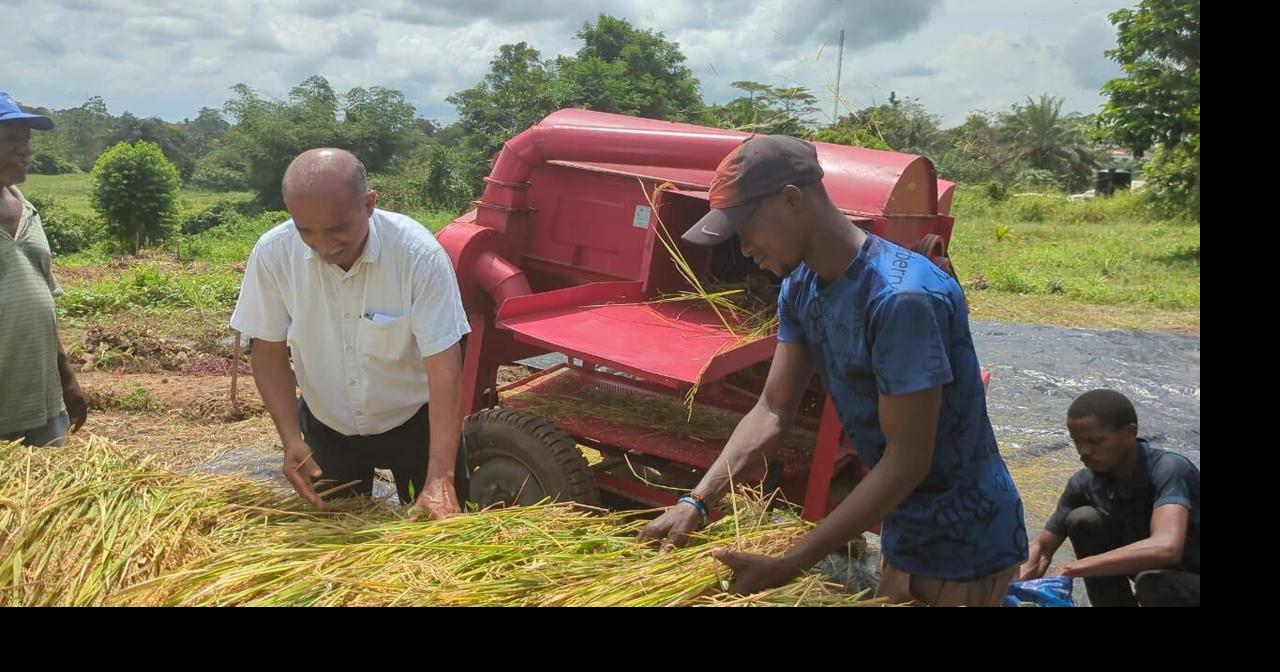 W/Cluster Launches First Rice Harvest to Support Farmers | Farming ...