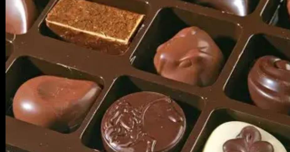 Chocolate Profits, Vanishing Forests