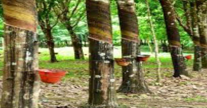 Liberia Economy Severe Threat