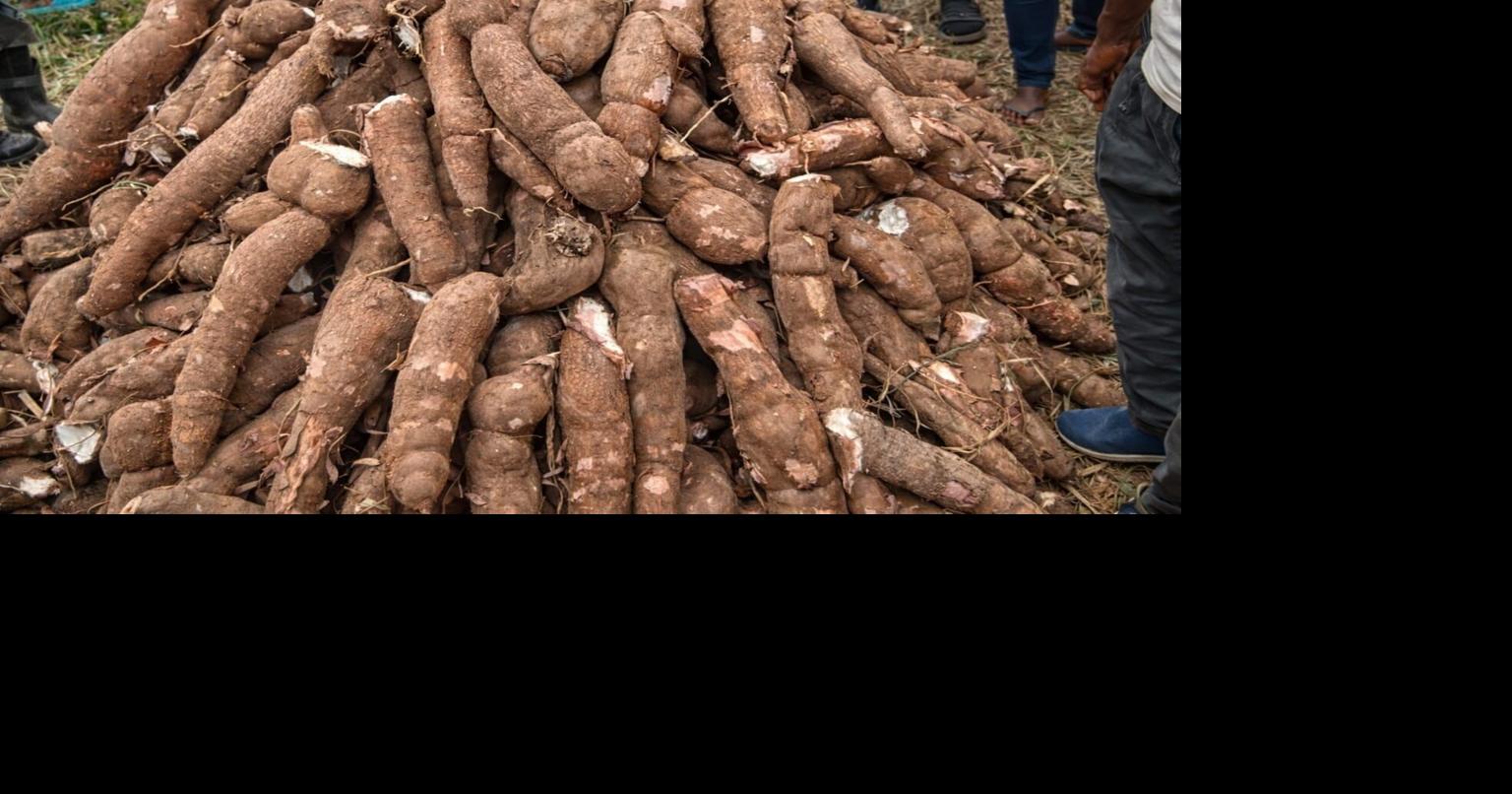 RETRAP Initiative Transforms Subsistence Farming to Commercial Agriculture