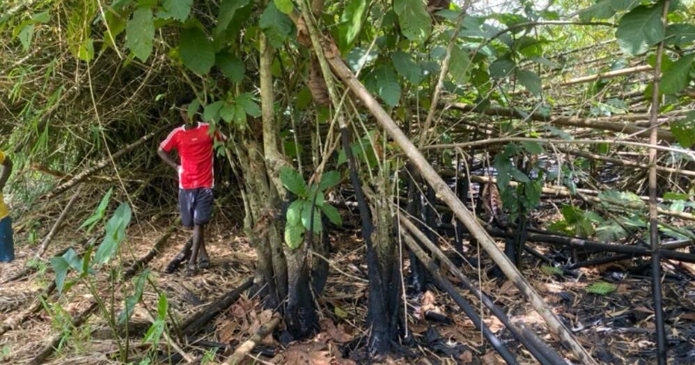 Communities Elated over Reported Oil Discovery