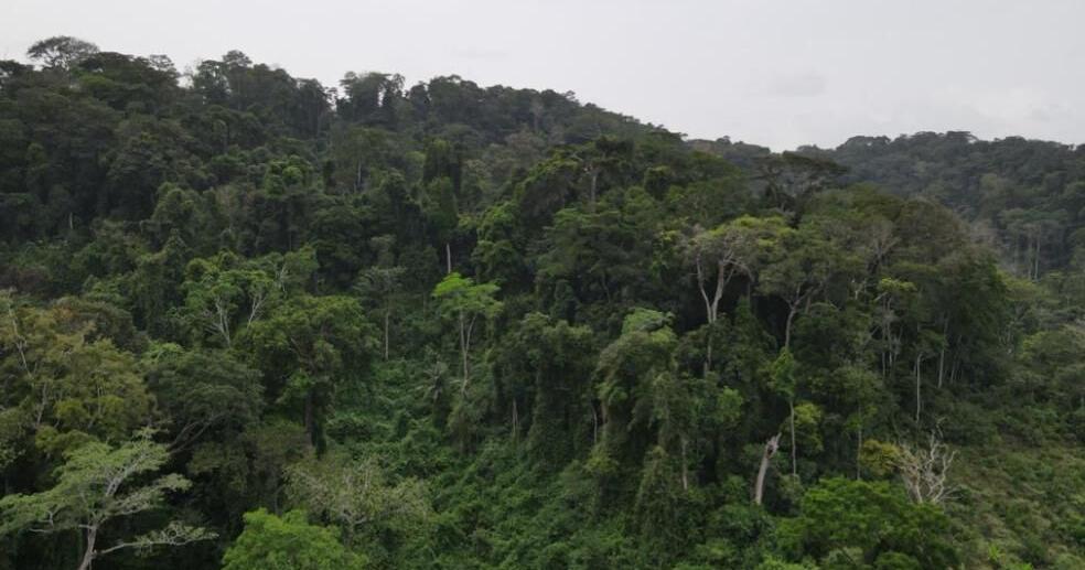 New, Community-led Conservation Delivering Promises