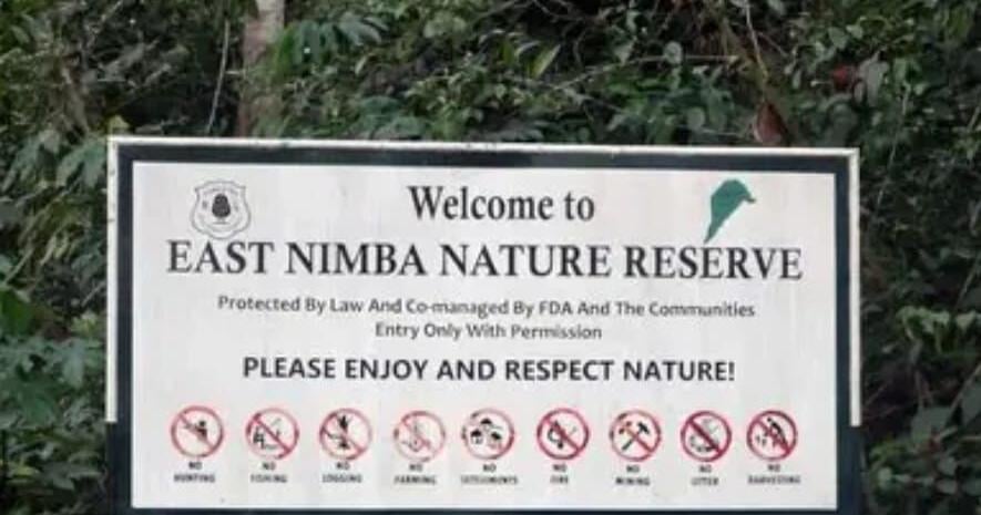 NGO Steps Up to Protect East Nimba Nature Reserve