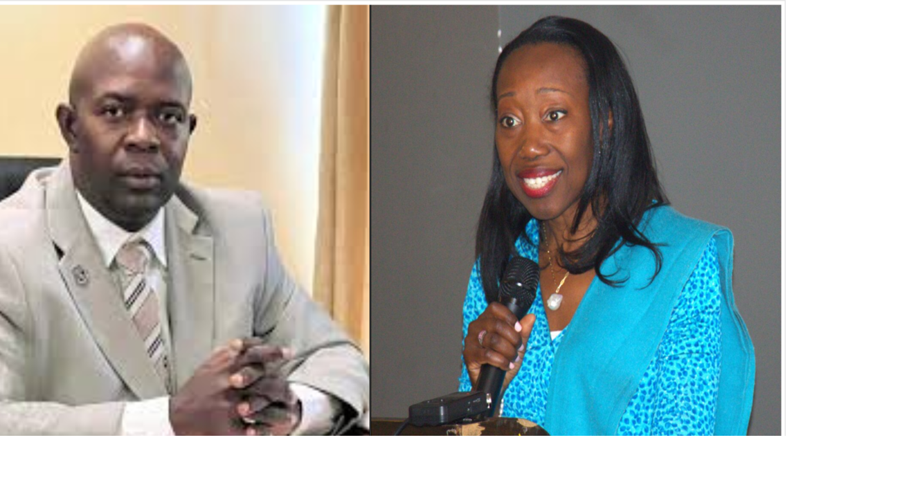 LISGIS, World Bank Launch 2025 Household Income and Expenditure Survey ...