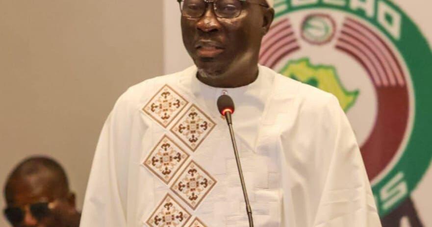 GIABA DG Calls for Joint FATF Membership for West Africa