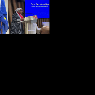 Gov’t Convenes EU-Liberia Business Forum in Brussels