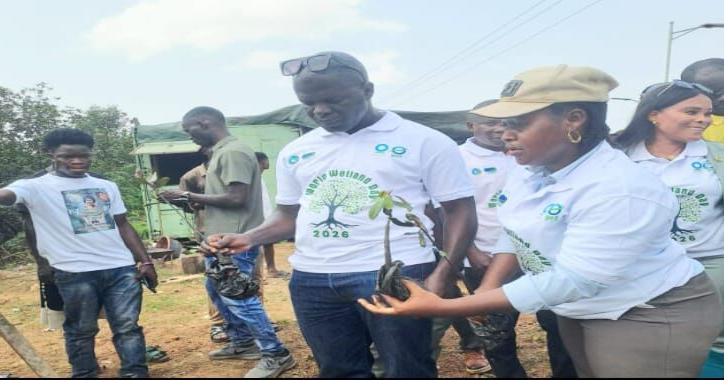 LiRWOCA, EPA Rally to Save Mesurado Wetlands