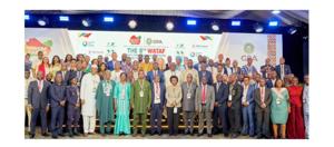 WATAF Demands Action on West Africa’s Tax Revenue Commitments