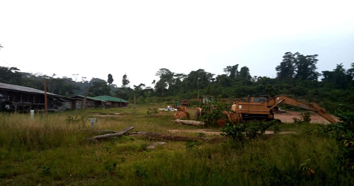 Logging Company Flees, Leaving Behind Abandoned Logs, Financial Liabilities - Vimarsana News