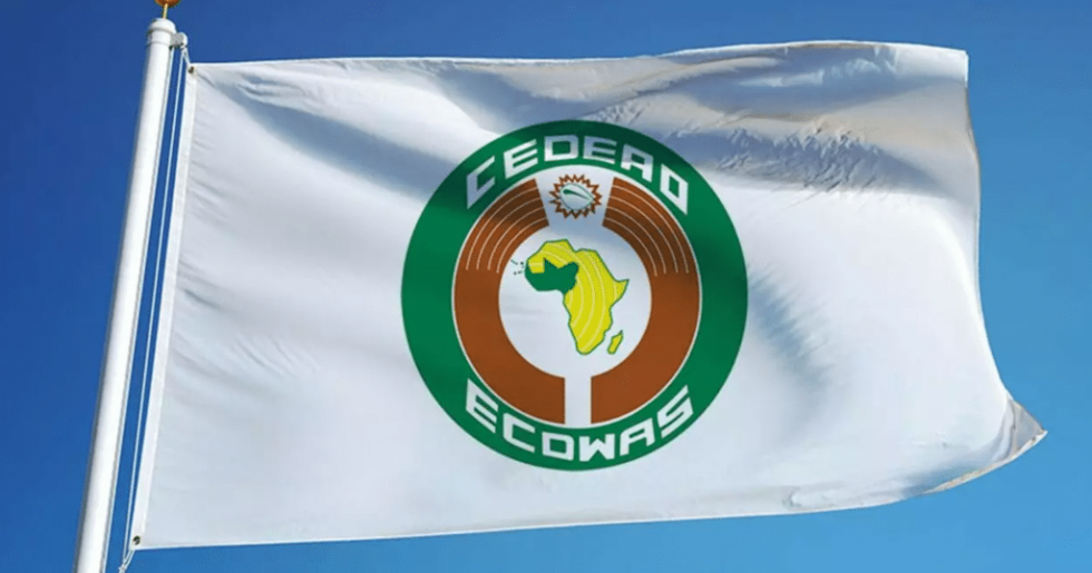 ECOWAS Moves to Help Curb Drug Abuse, Mental Health Crisis