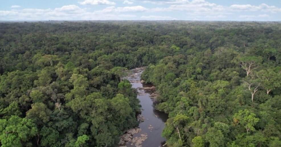 Can Liberia’s Land Rights Law empower communities as carbon credit owners?