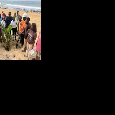 EU-Funded Project to Plant 200 Trees in Monrovia’s Coastal Communities