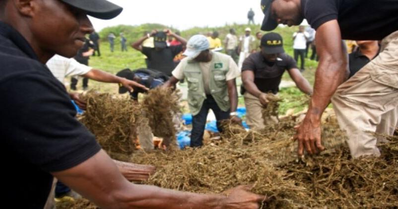 LDEA Set for Major Reform Under New Anti-Drugs Action Plan