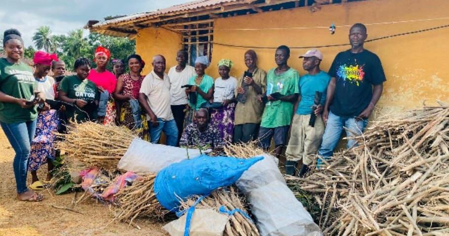 RPAL, RDFI Distribute 200,000 Rubber Stumps To Smallholder Farmers