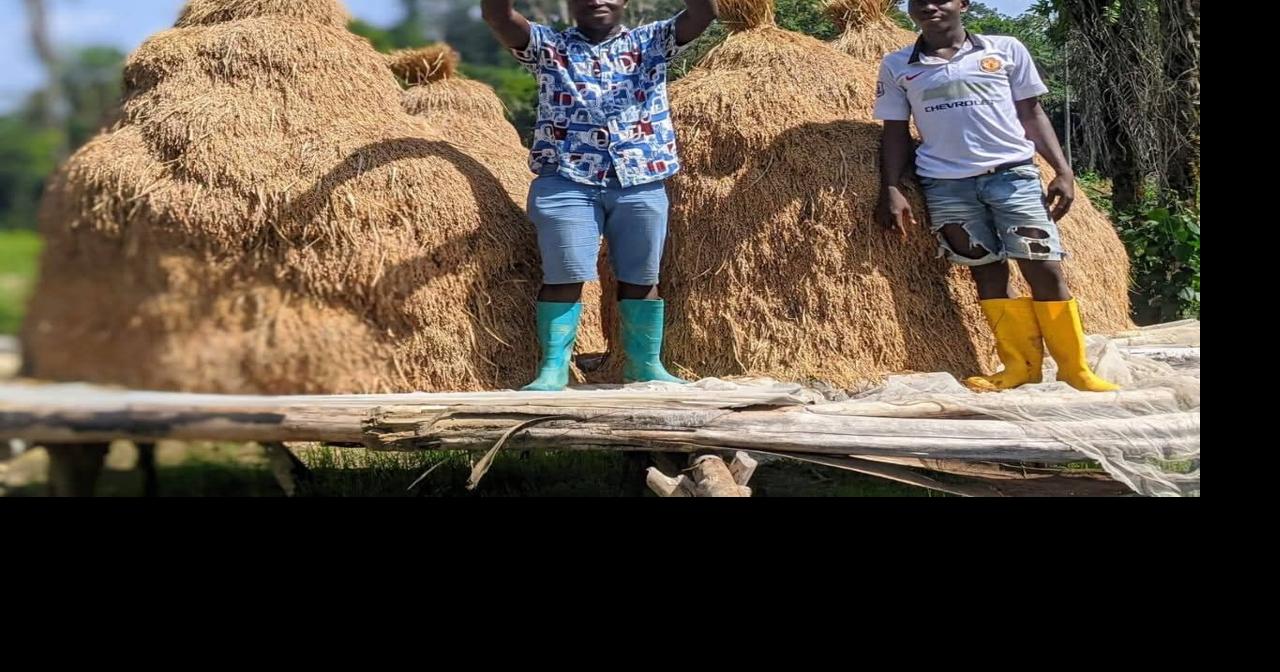 Local Rice Farmer Pleads for Support