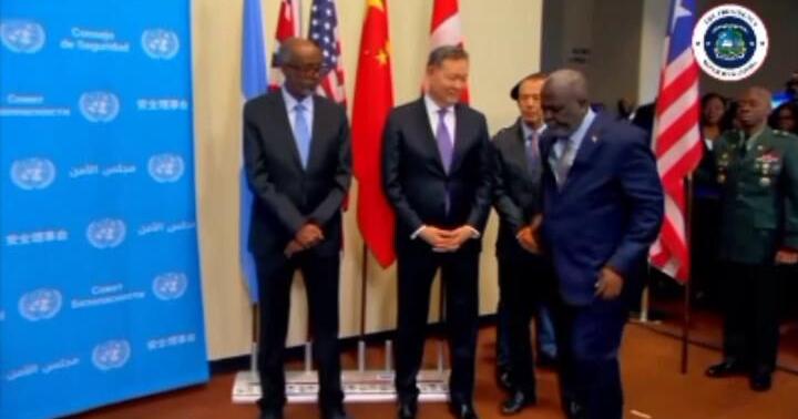 Ambassador Lewis G. Brown speak to the United Nation Security Council