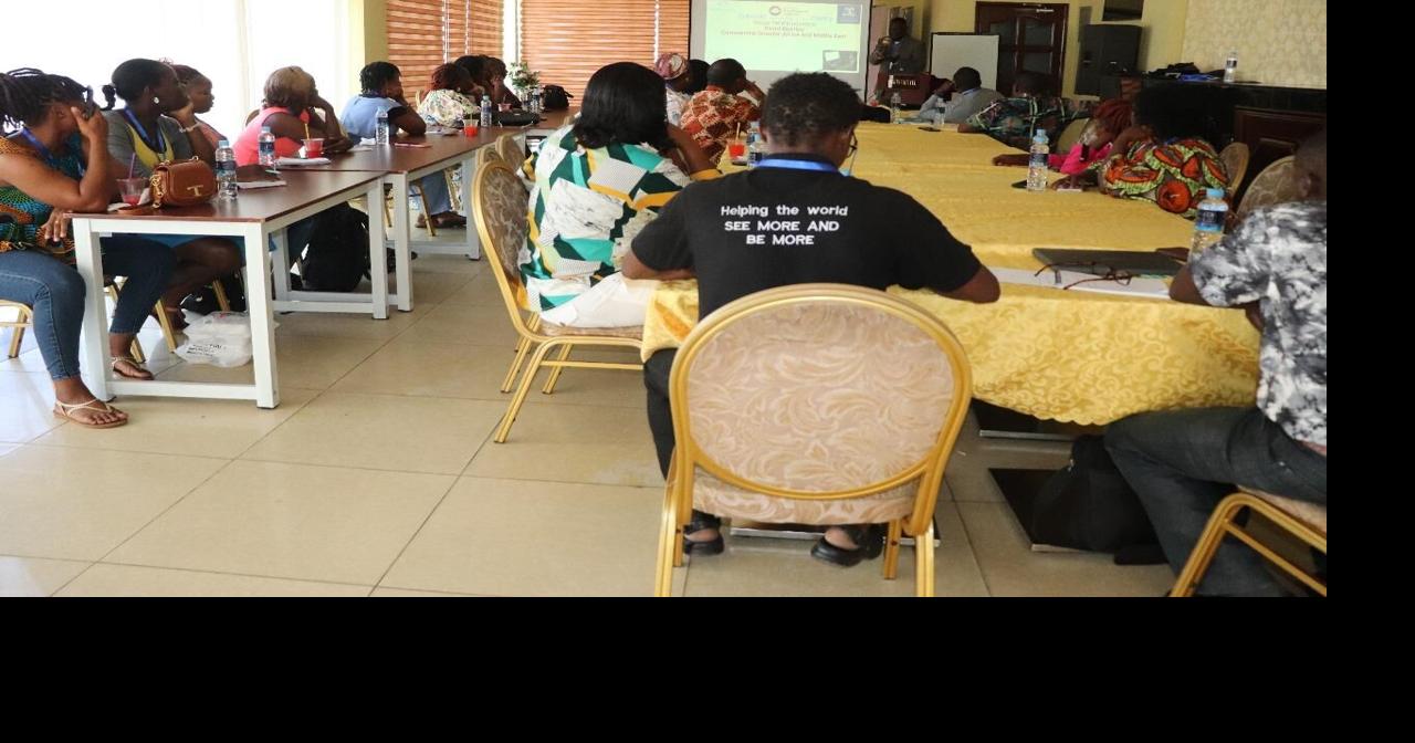 NESC Begins New Software in Eye Healthcare Service in Liberia | News