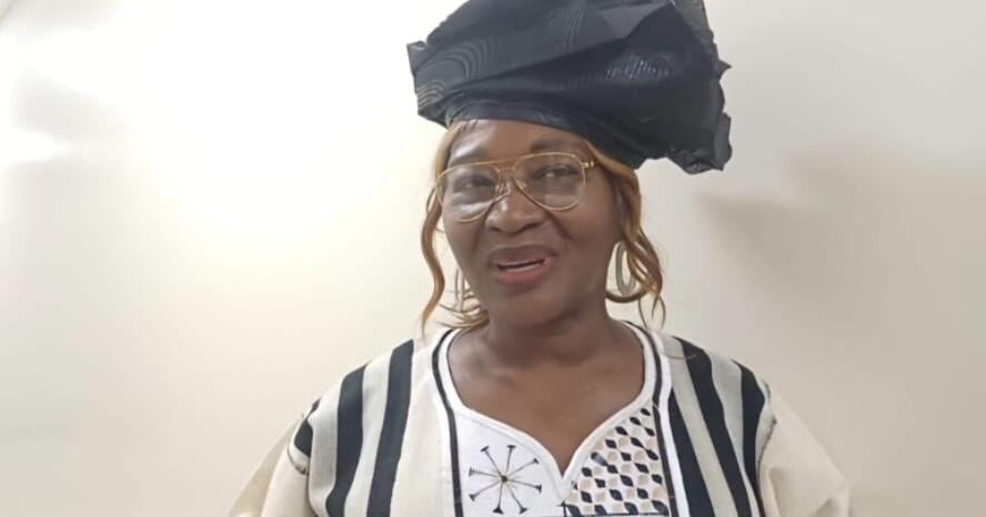 Diaspora Liberian Calls for Investment Back Home