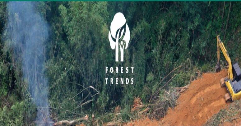 Liberia Short-Changed by Decades of Mining Deals