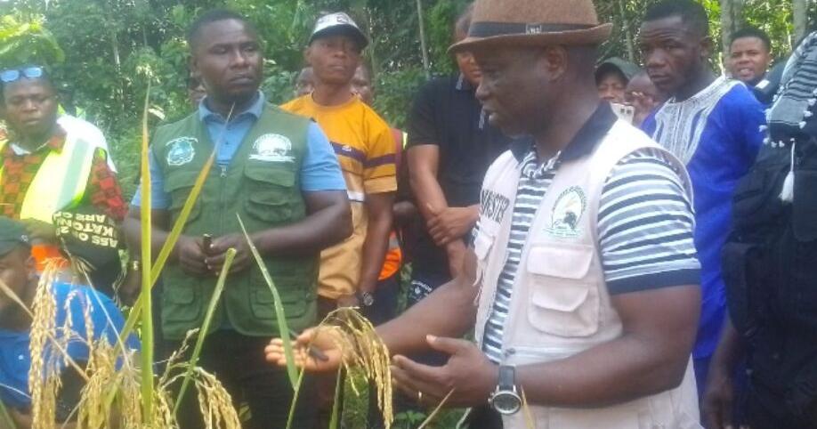 Gov't to Install Rice Processing Plant in Saclepea, Nimba County