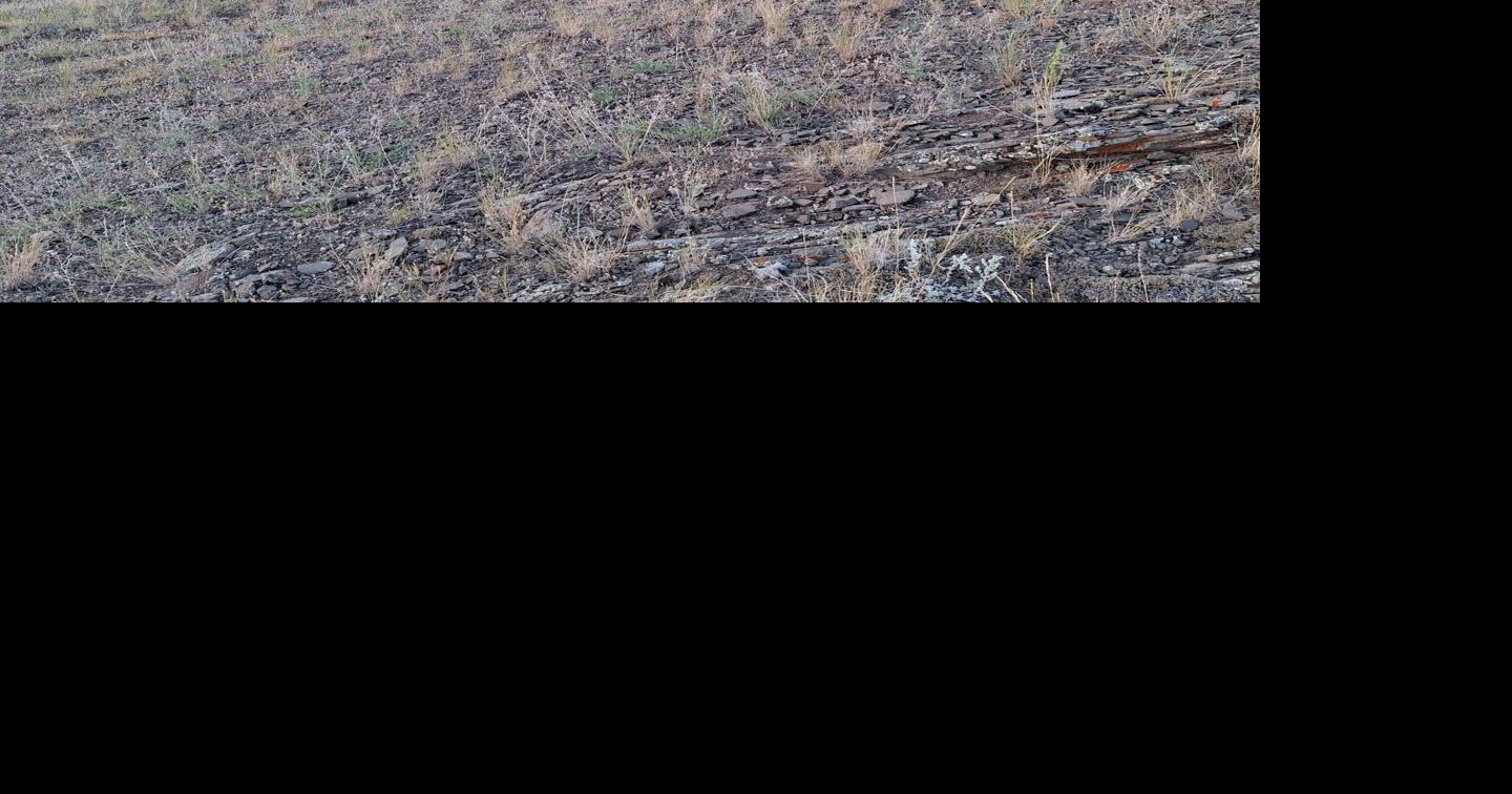 Proposed 20.4 acres of parkland