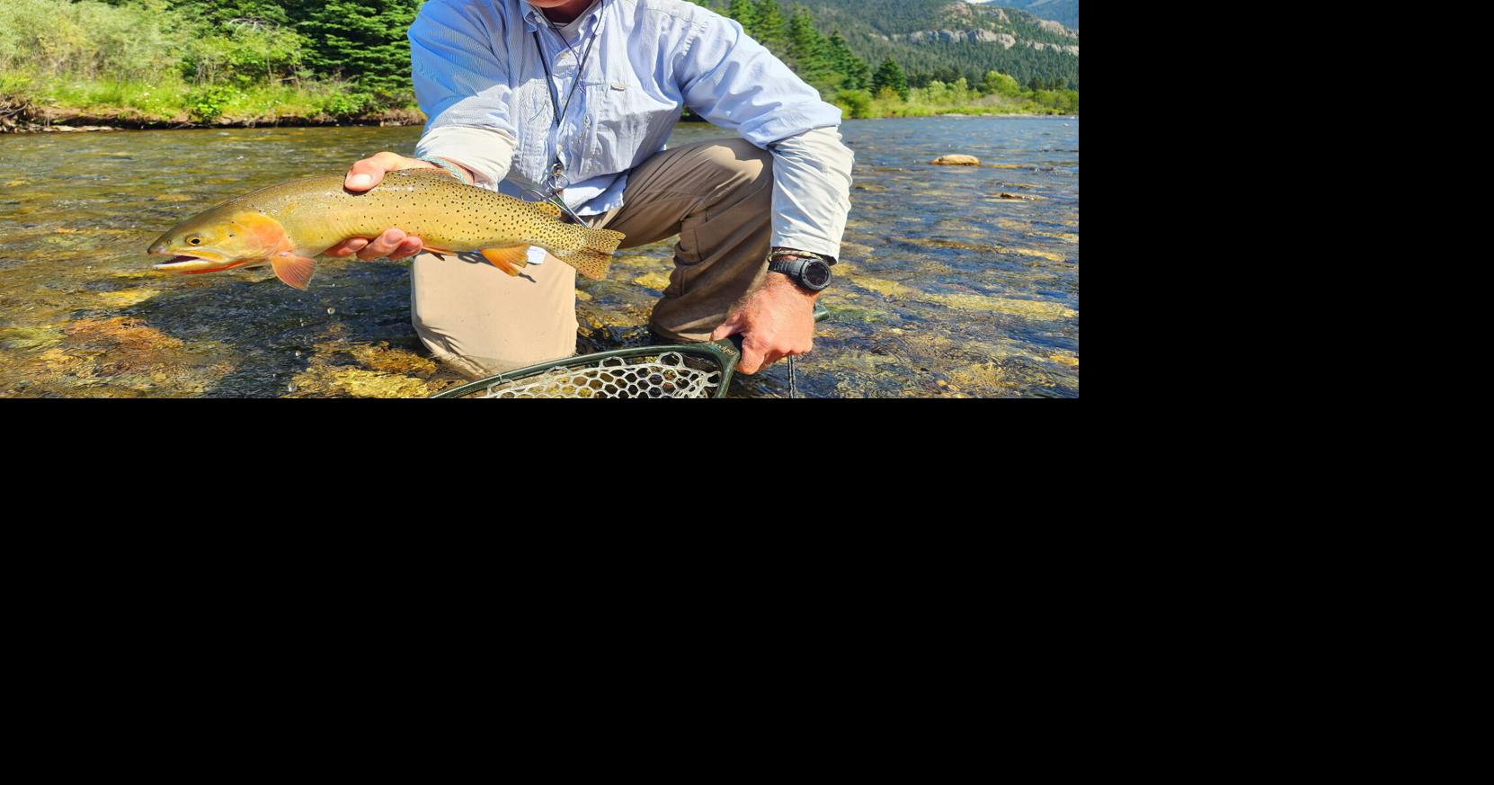 Too hot to fish: YNP closes some angling spots due to warm temps
