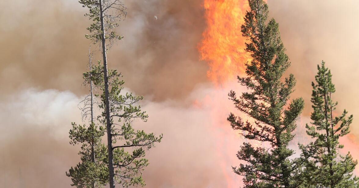 Recent rains improve fire conditions in most of state