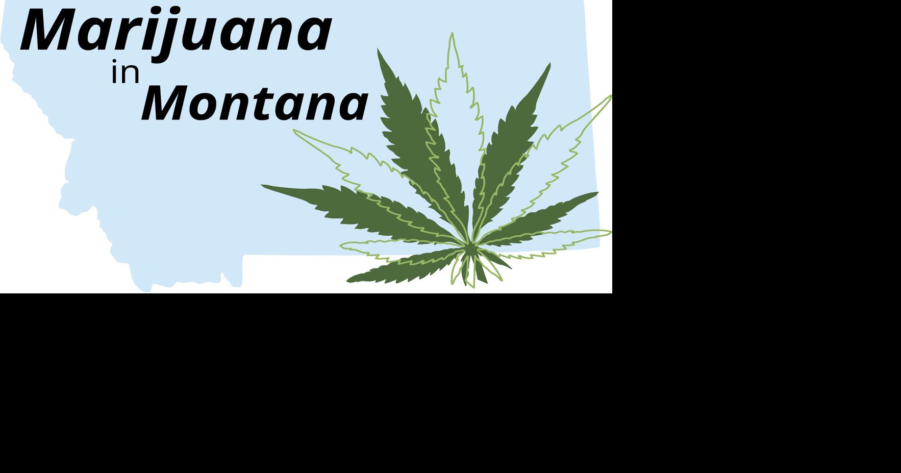 Learning from experience: Colorado offers mixed lessons for Montana marijuana