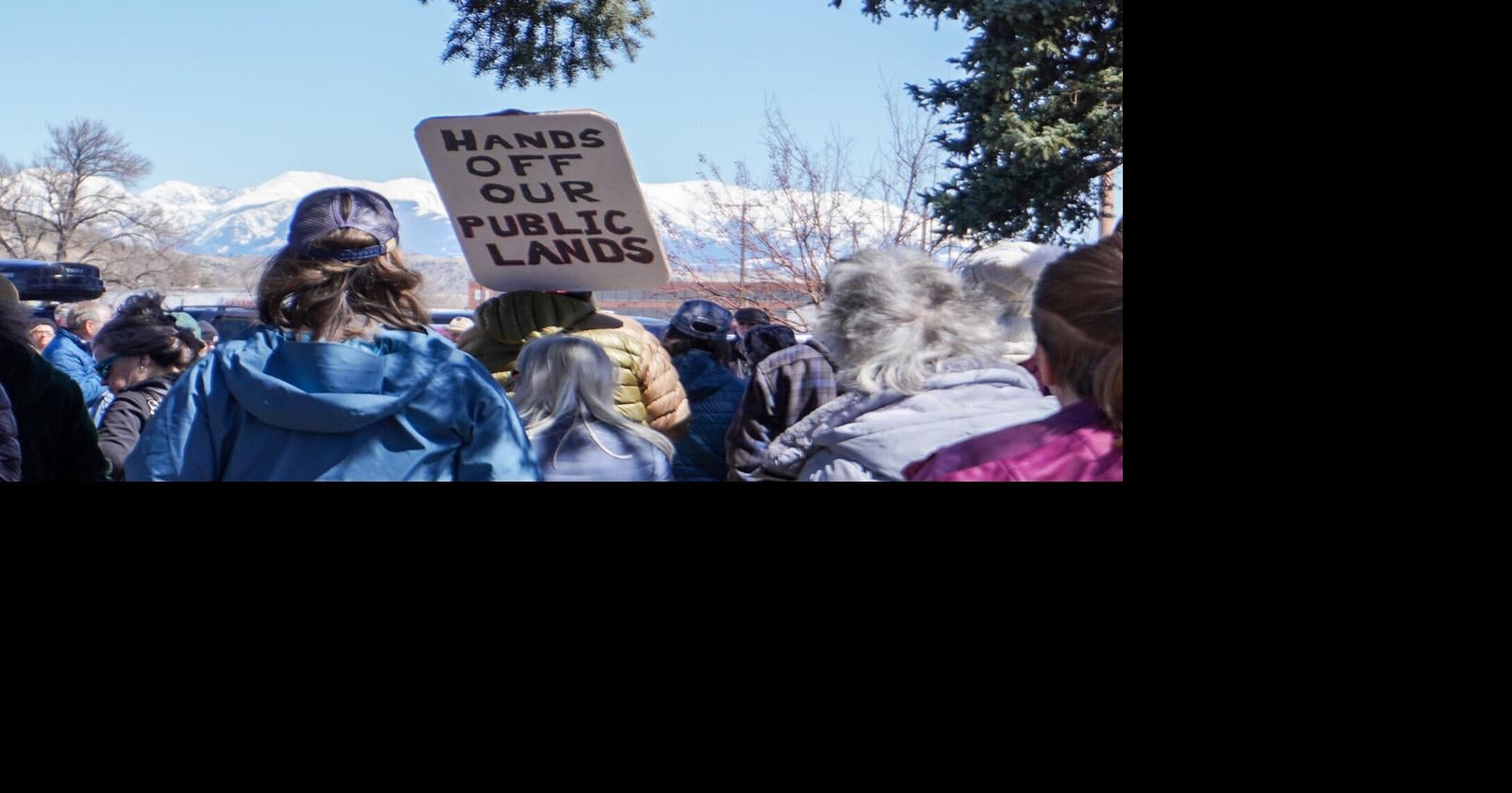 Protest in the park: Local demonstrators rally against Trump | Local ...