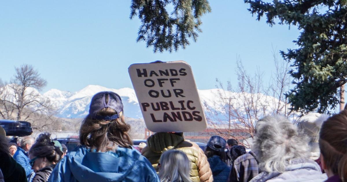 Liberalism Rally Protest in the park: Local demonstrators rally against Trump | Local ...
