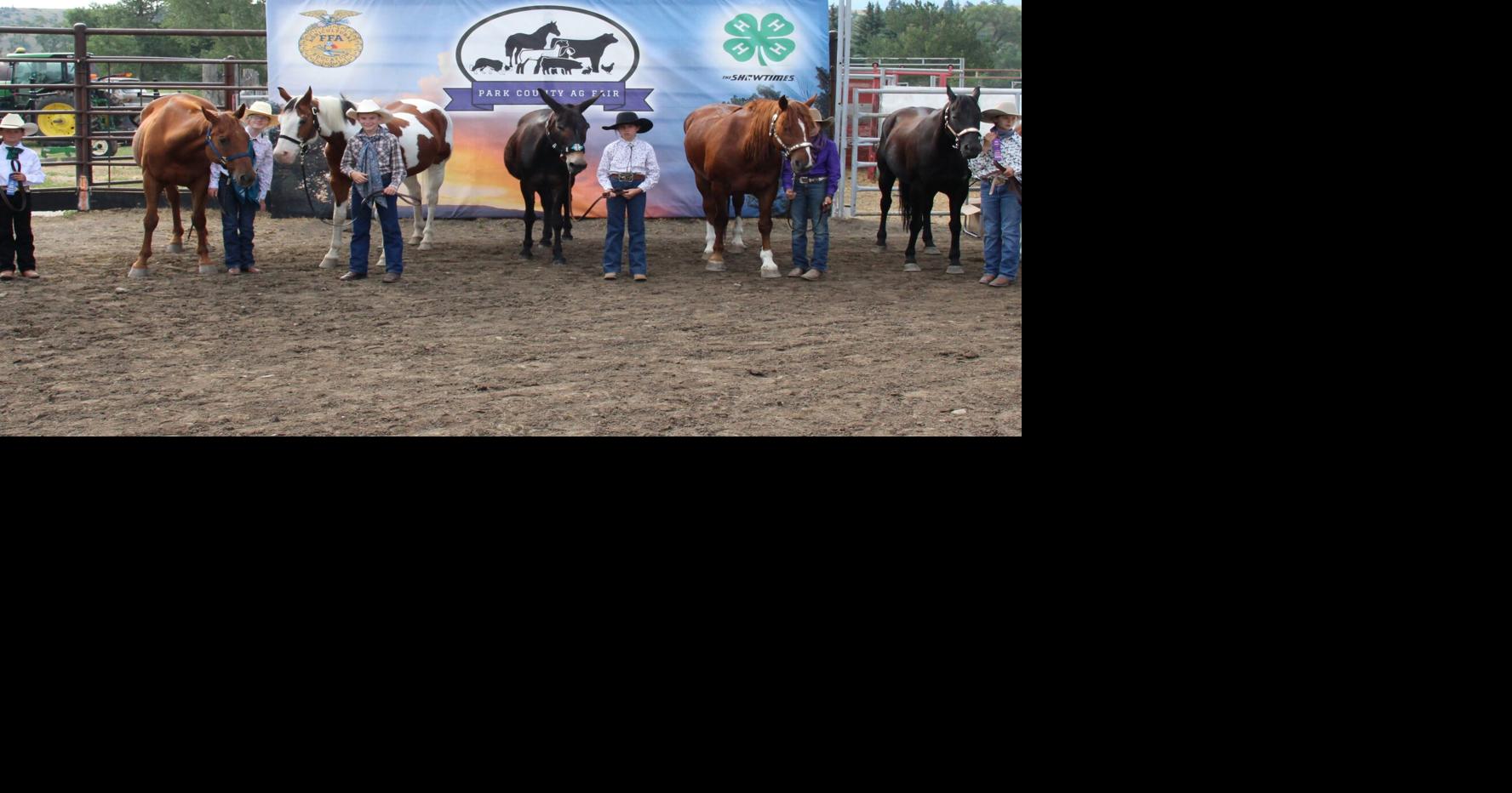 Park County 4-H Horse Show offers young riders learning opportunities through competition