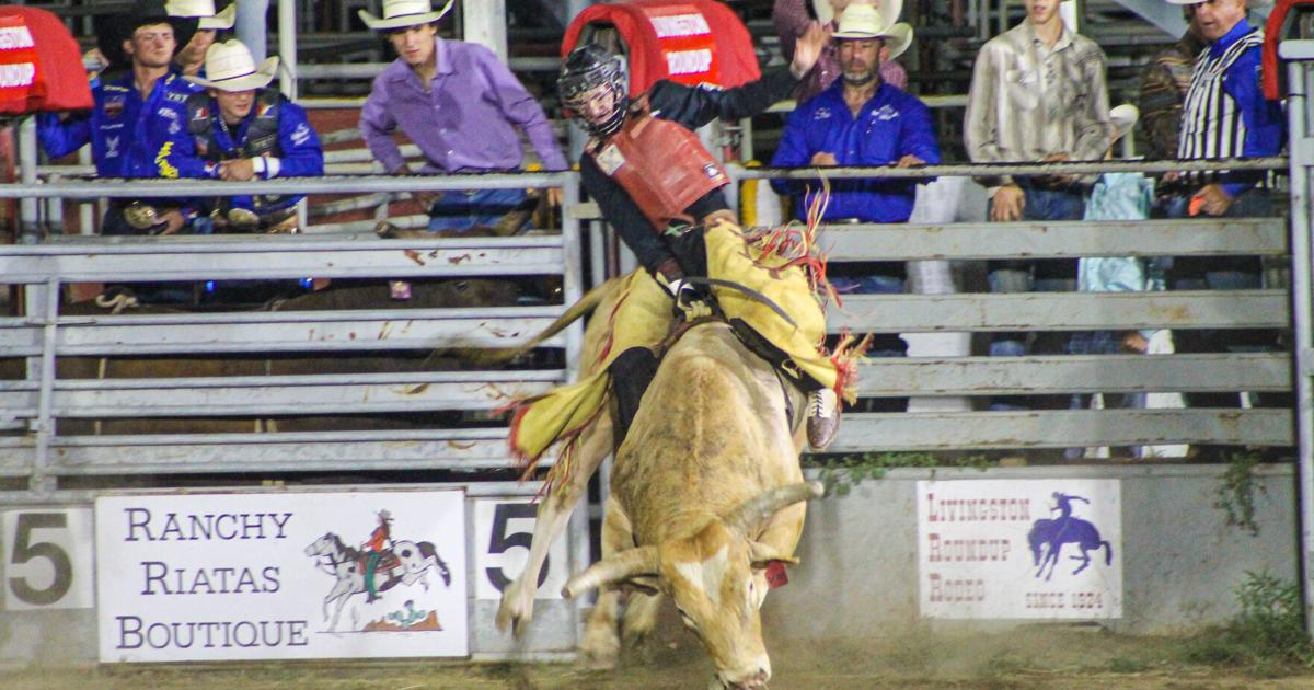 Ulverstone Rodeo Rodeo Rides: Scenes from the Livingston Roundup, Tuesday night | Local ...