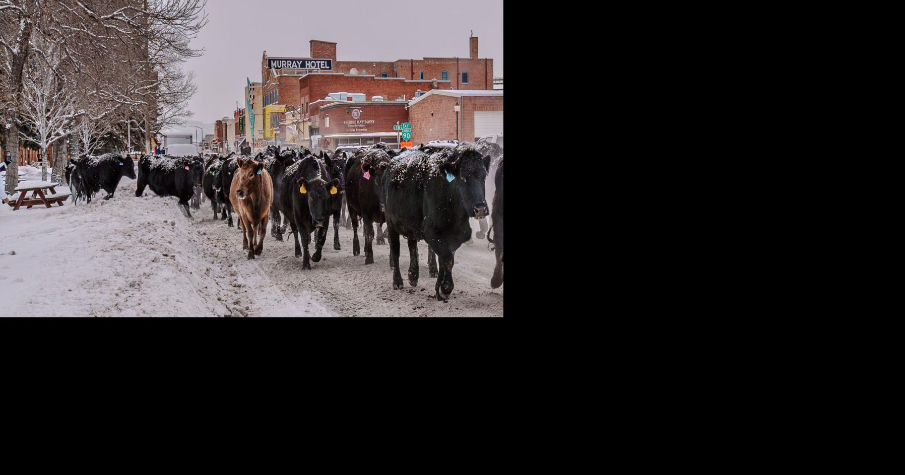 Ag zoning proposed to preserve open space