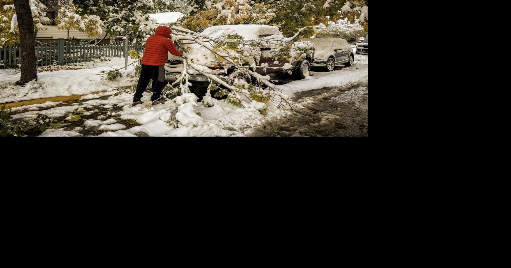 Cars get decked with fallen boughs and branches