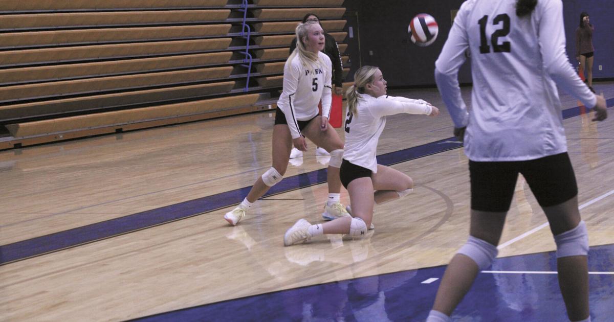 Tilly Hutton Park High volleyball rises to the occasion | Sports ...
