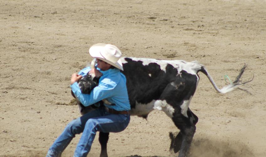 Ropes and rough riding: Gardiner and Wilsall rodeos take place on ...