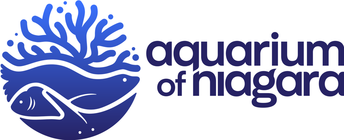 Aquarium of Niagara debuts new logo | Lifestyles ...