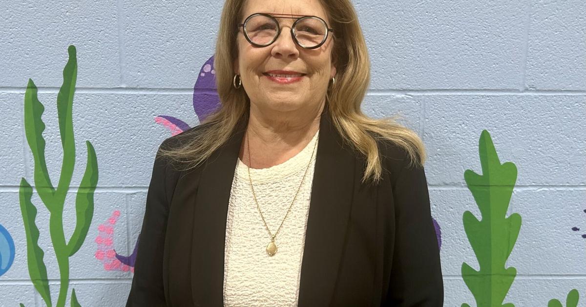 Susan Strube Interim superintendent appointed in Newfane school district | News ...