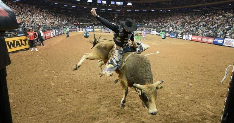 Ban on rodeo acts draws opposition from farm advocates | Local News ...