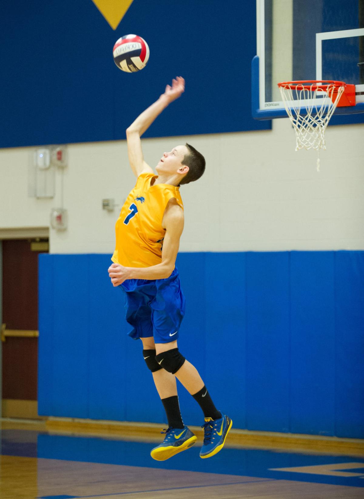 Volleyball Lions earn VI victory | Sports | lockportjournal.com