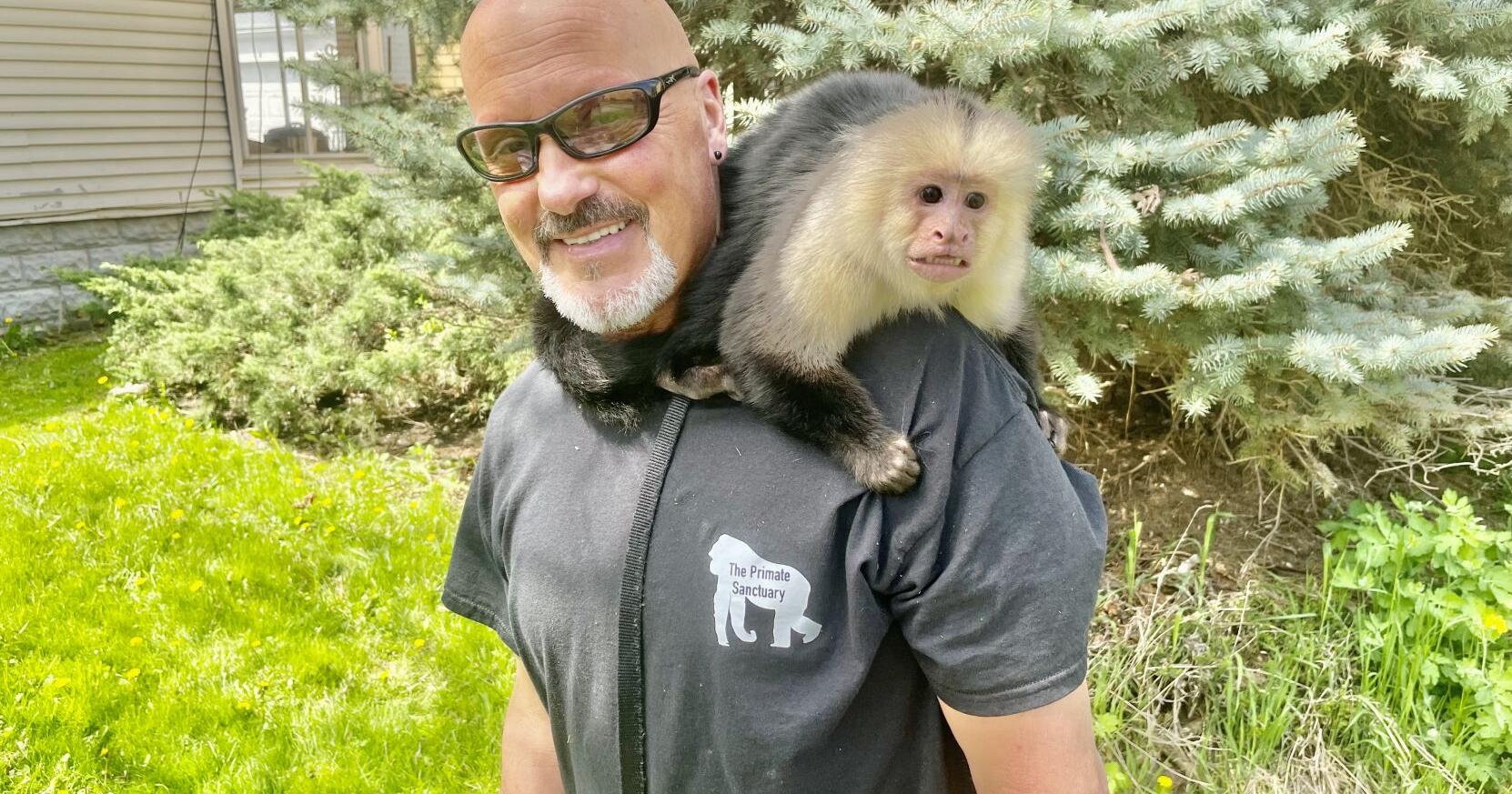 Taking care of monkey business - Vimarsana News