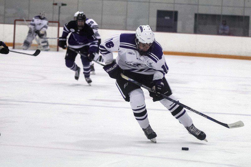 Purple Eagles release their 2017-18 hockey schedule | Local Sports Purple Eagles release their 2017-18 hockey schedule | Local Sports